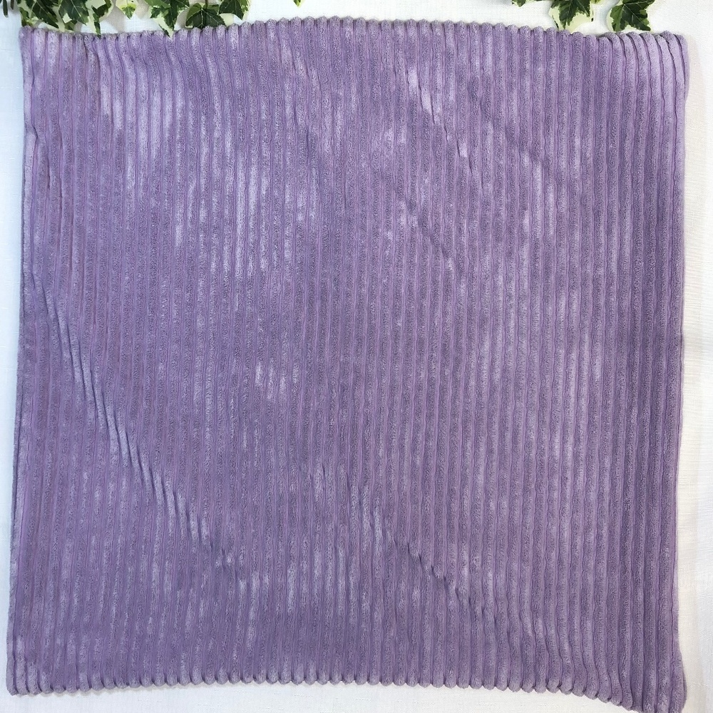 2  24x 24 pillow cases.